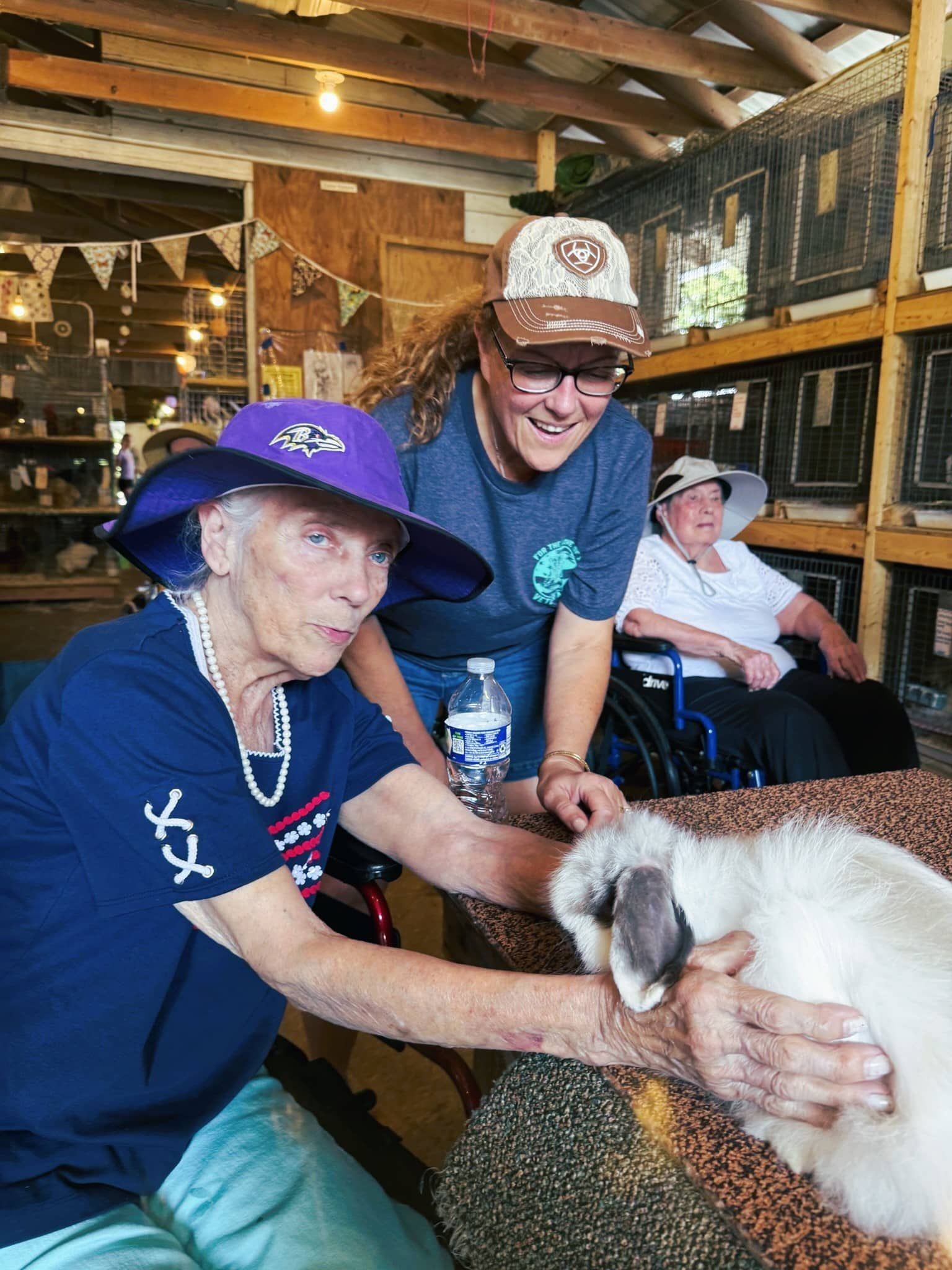 Two women pet a rabbit in a rustic indoor petting area while another woman sits behind them