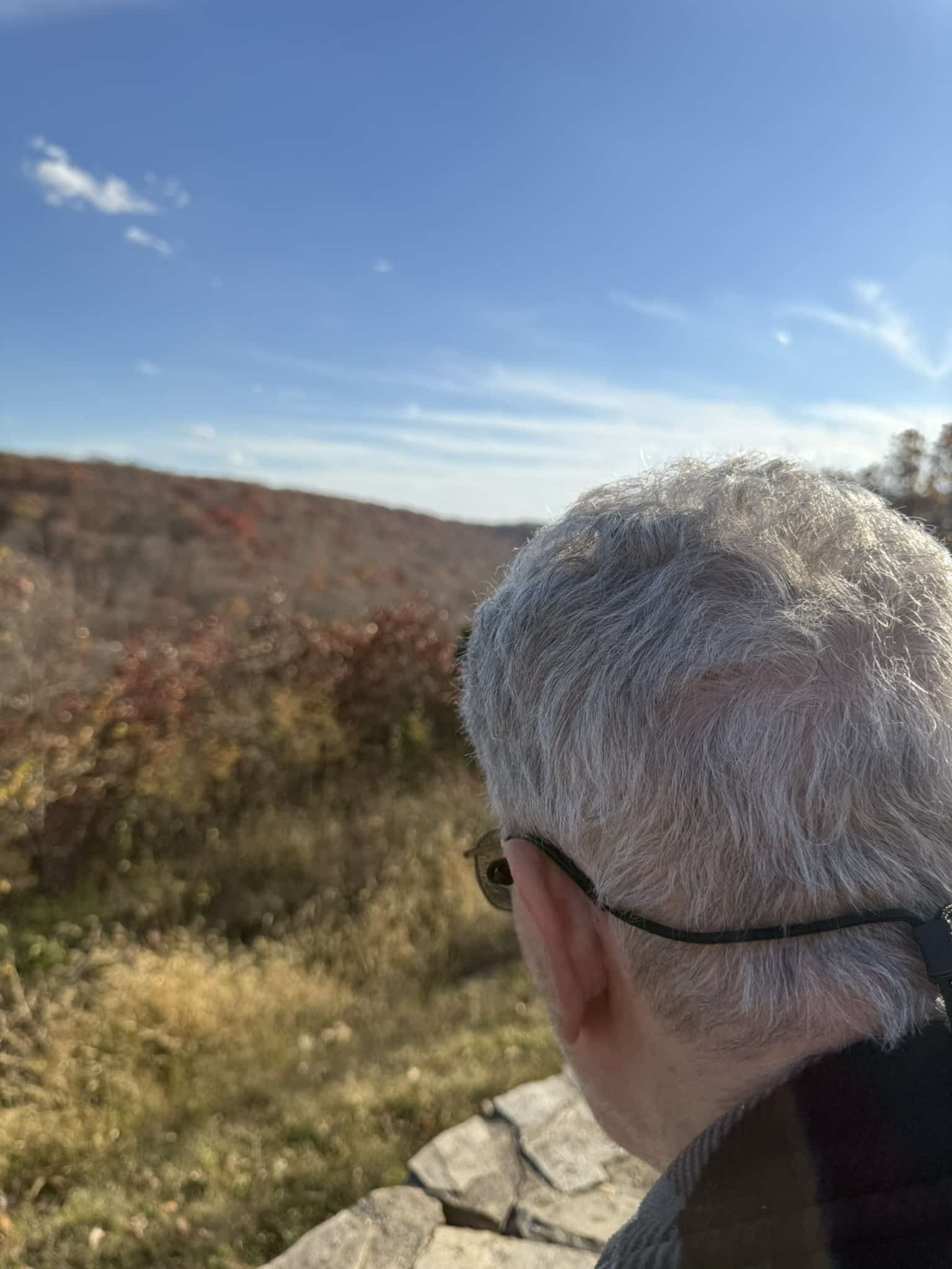 Person with short gray hair looking over a grassy hillside under a blue sky