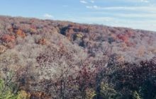 Autumn forested hillside with multicolored trees under a pale blue sky