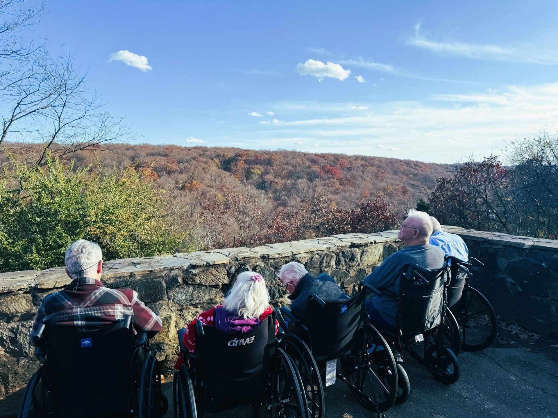 Four wheelchair users overlook a wooded valley from a scenic overlook on a clear day.