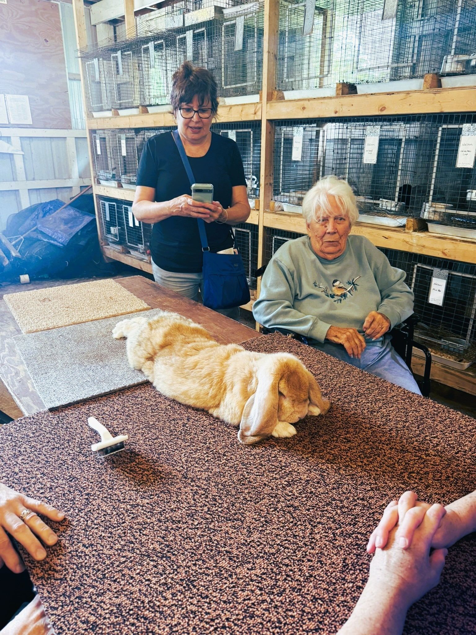 Person standing beside seated person at a table with a white-and-tan dog lying on it in a workshop or indoor space