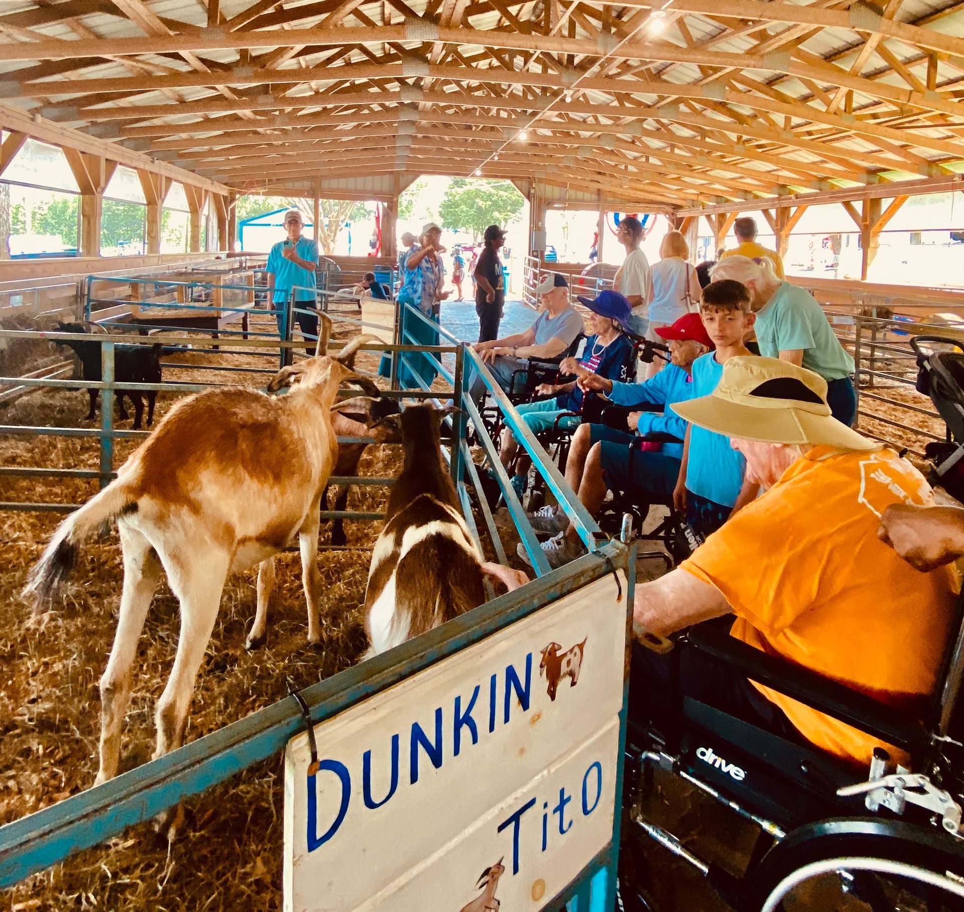 People petting donkeys at a covered animal enclosure with a Dunkin’ sign in the foreground
