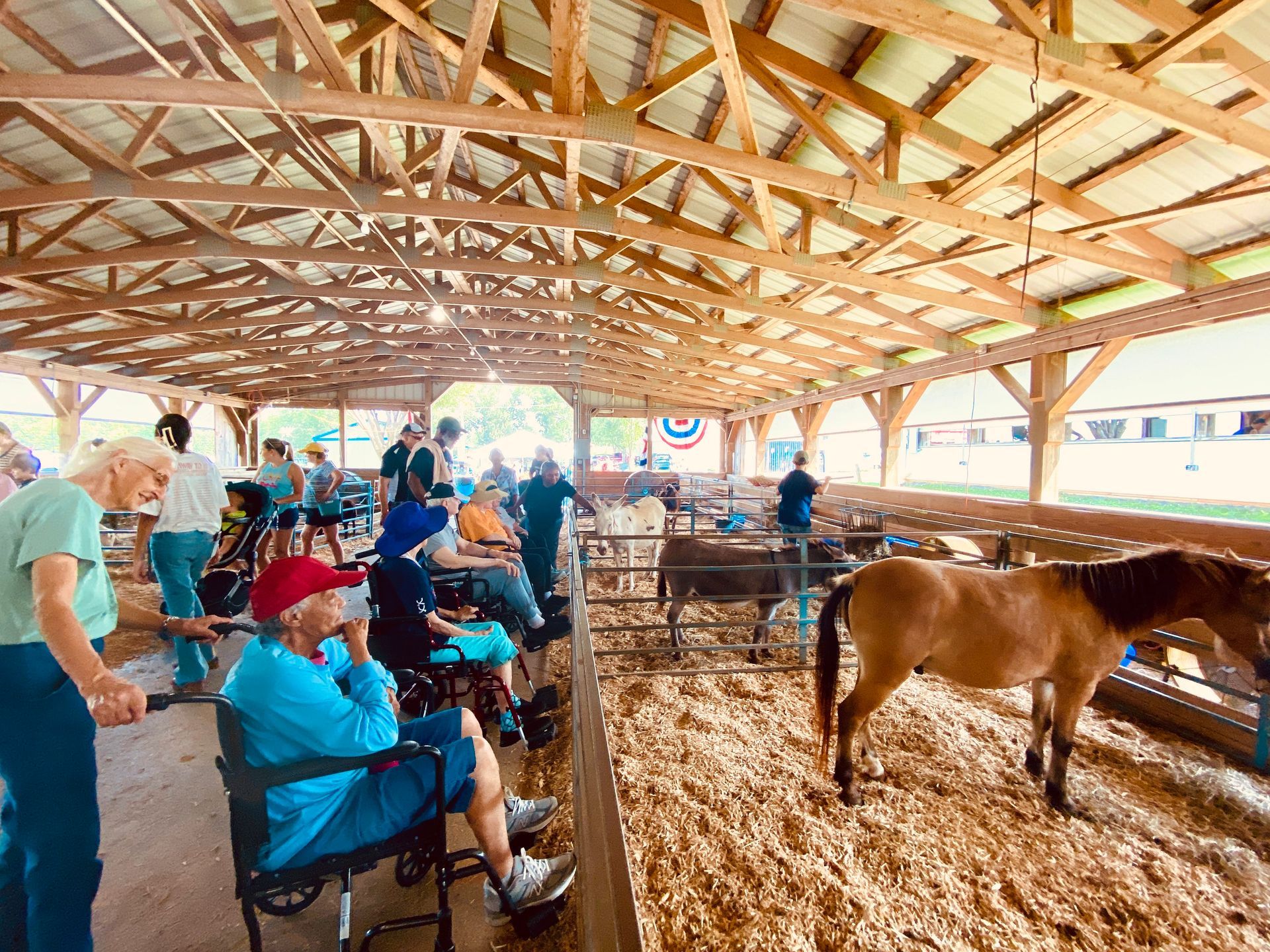 People seated in an open barn viewing cattle under a wooden roof, with a brown cow in the foreground