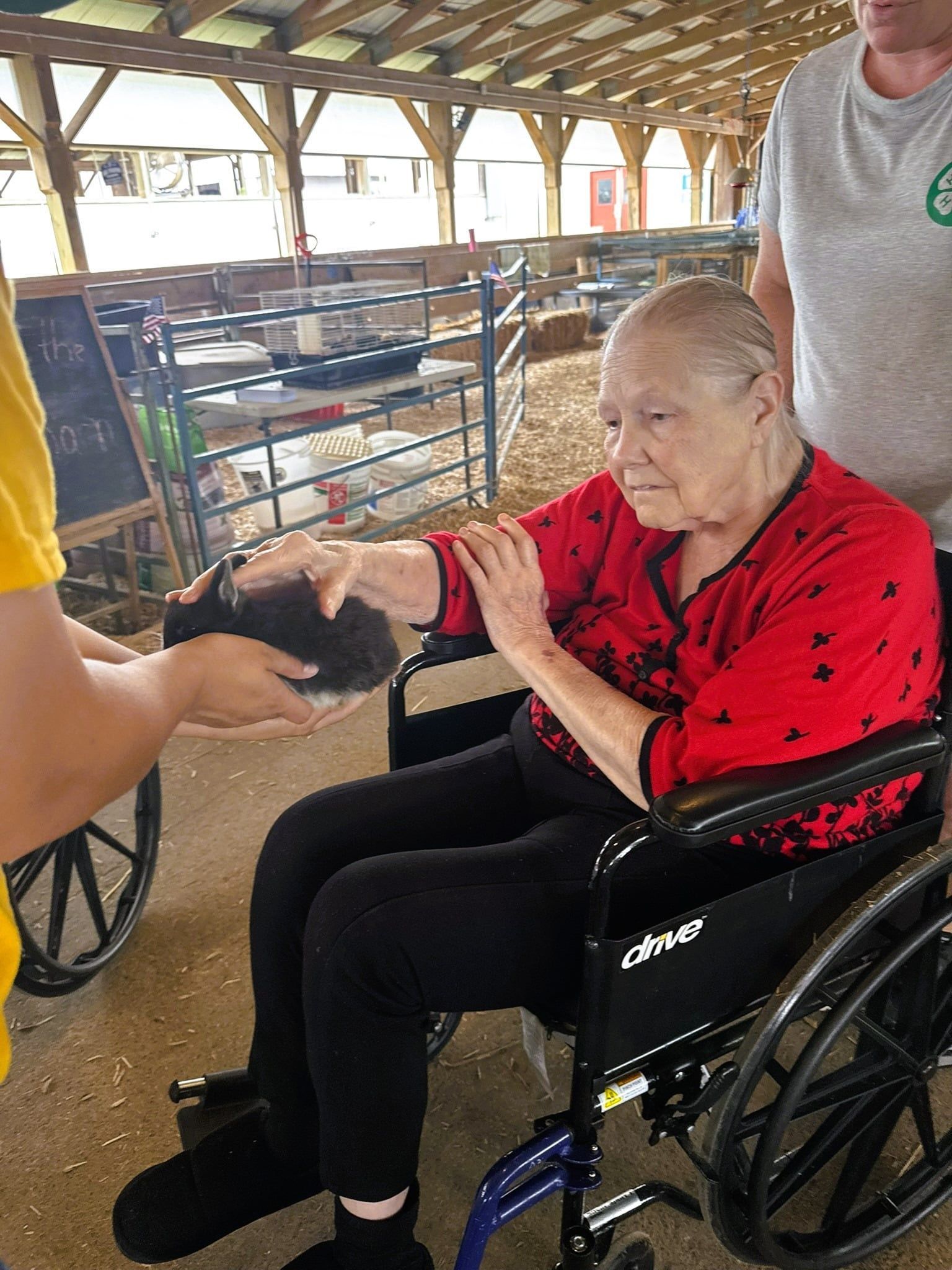 Woman in red top shaking hands while seated in a wheelchair under a covered pavilion