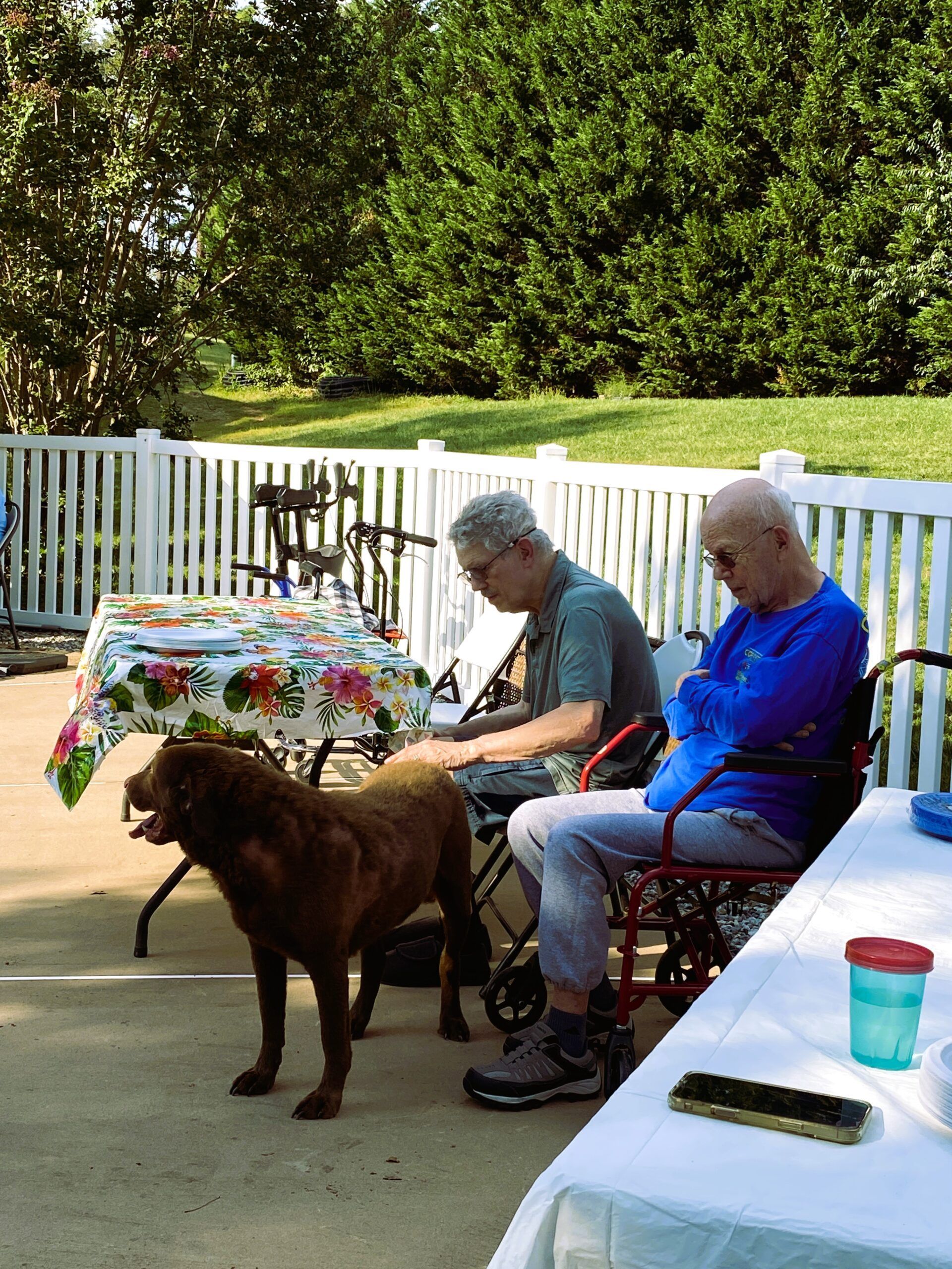 Two people sit at a table outdoors while a brown dog stands beside them in a sunny backyard.