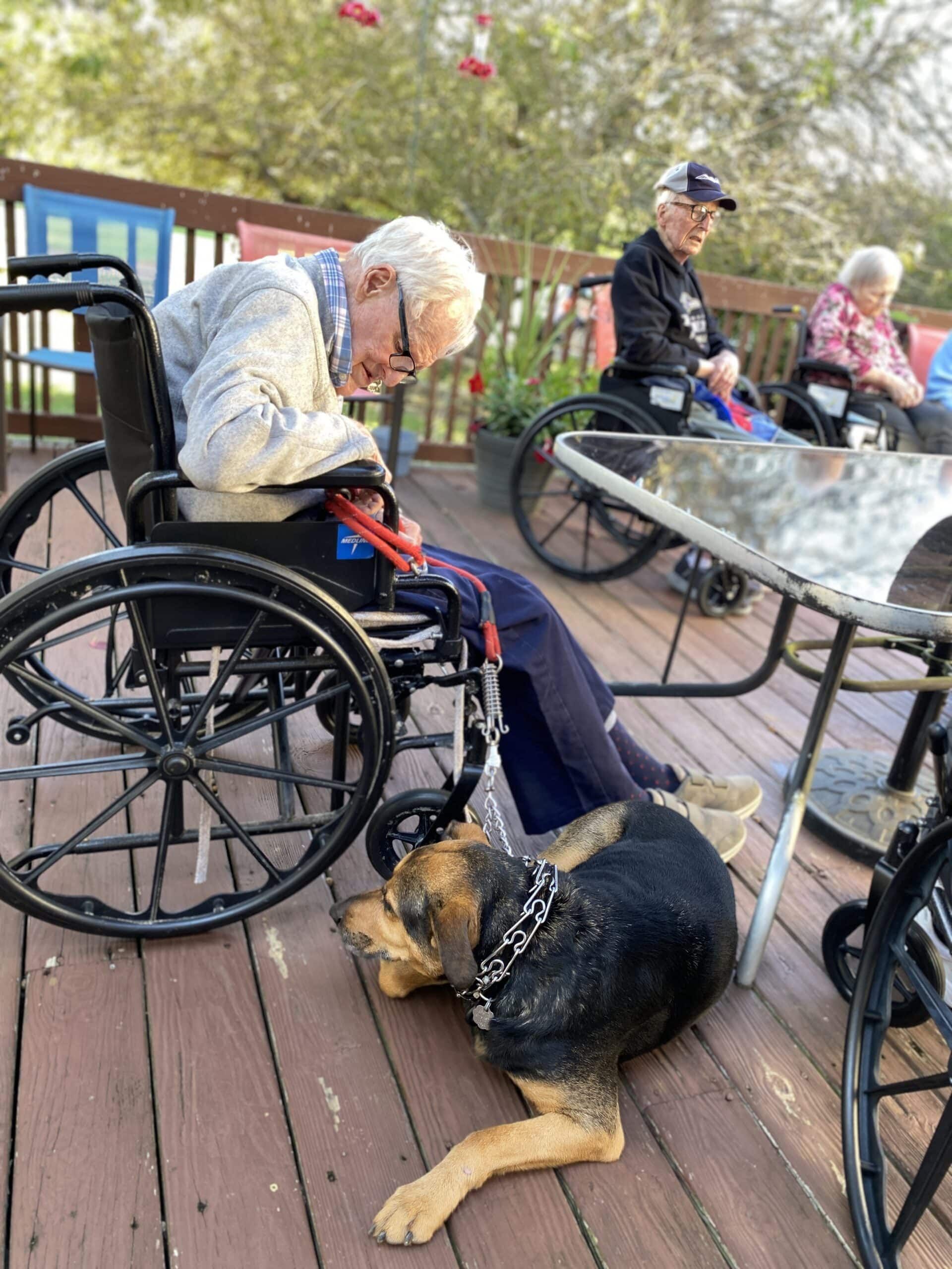Man in wheelchair petting a black-and-tan dog on a wooden deck with people seated at tables nearby