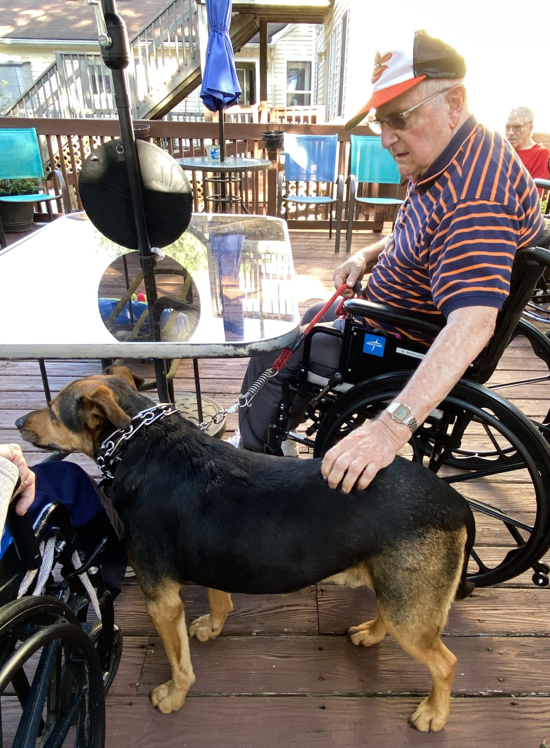 Man in wheelchair petting a large black-and-tan dog on a wooden deck, with outdoor seating behind them