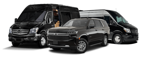 Paso Robles Wine Tours
