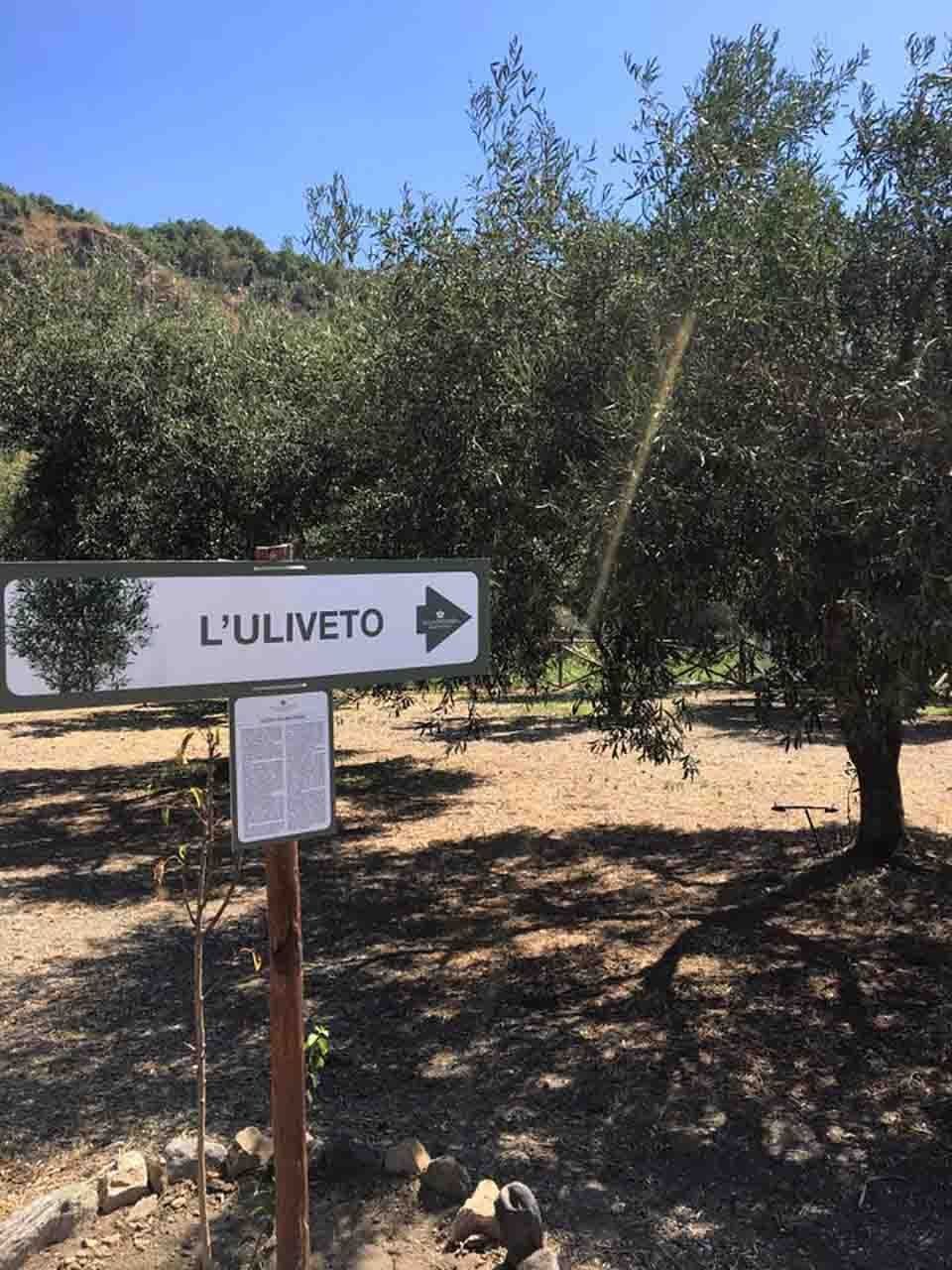 uliveto