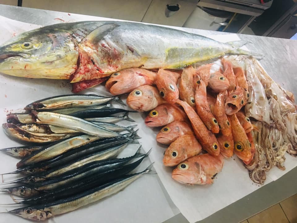 varietà di pescato del giorno