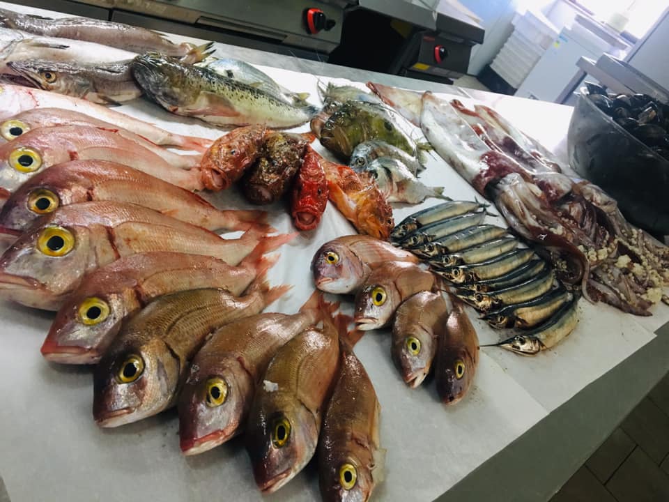 pesce fresco
