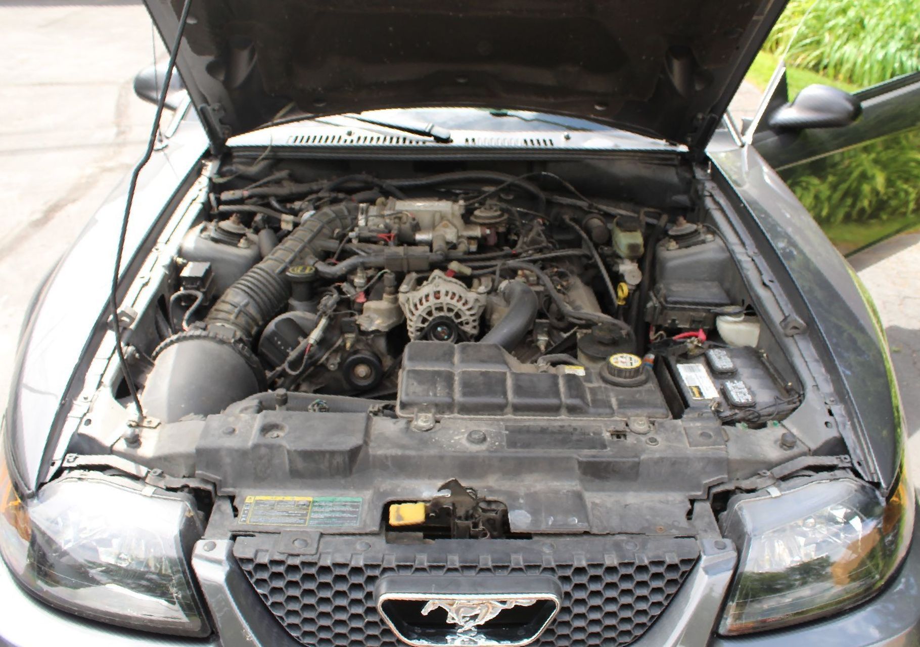 The engine of a ford mustang with the hood open