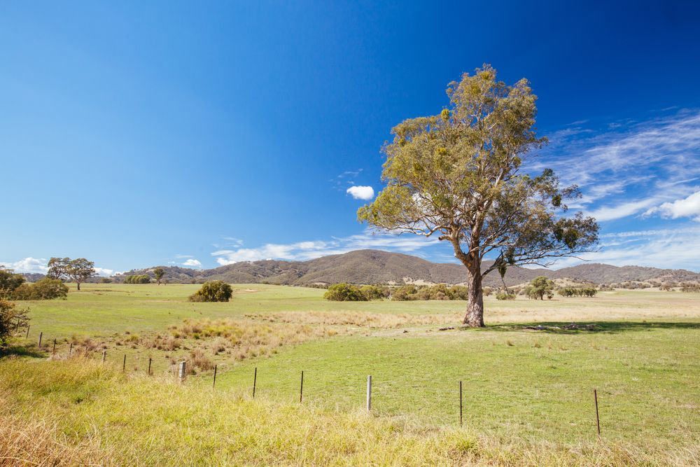 Yackandandah — John B Electrical In Yackandandah VIC