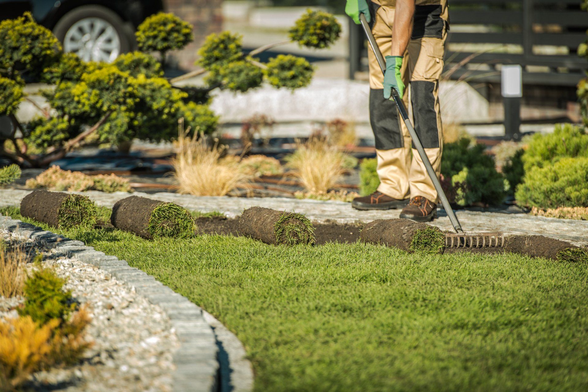 Landscaping Contractor Installing Sod For New Lawn - Chesapeake, VA - Western Branch Lawn & Landscapes