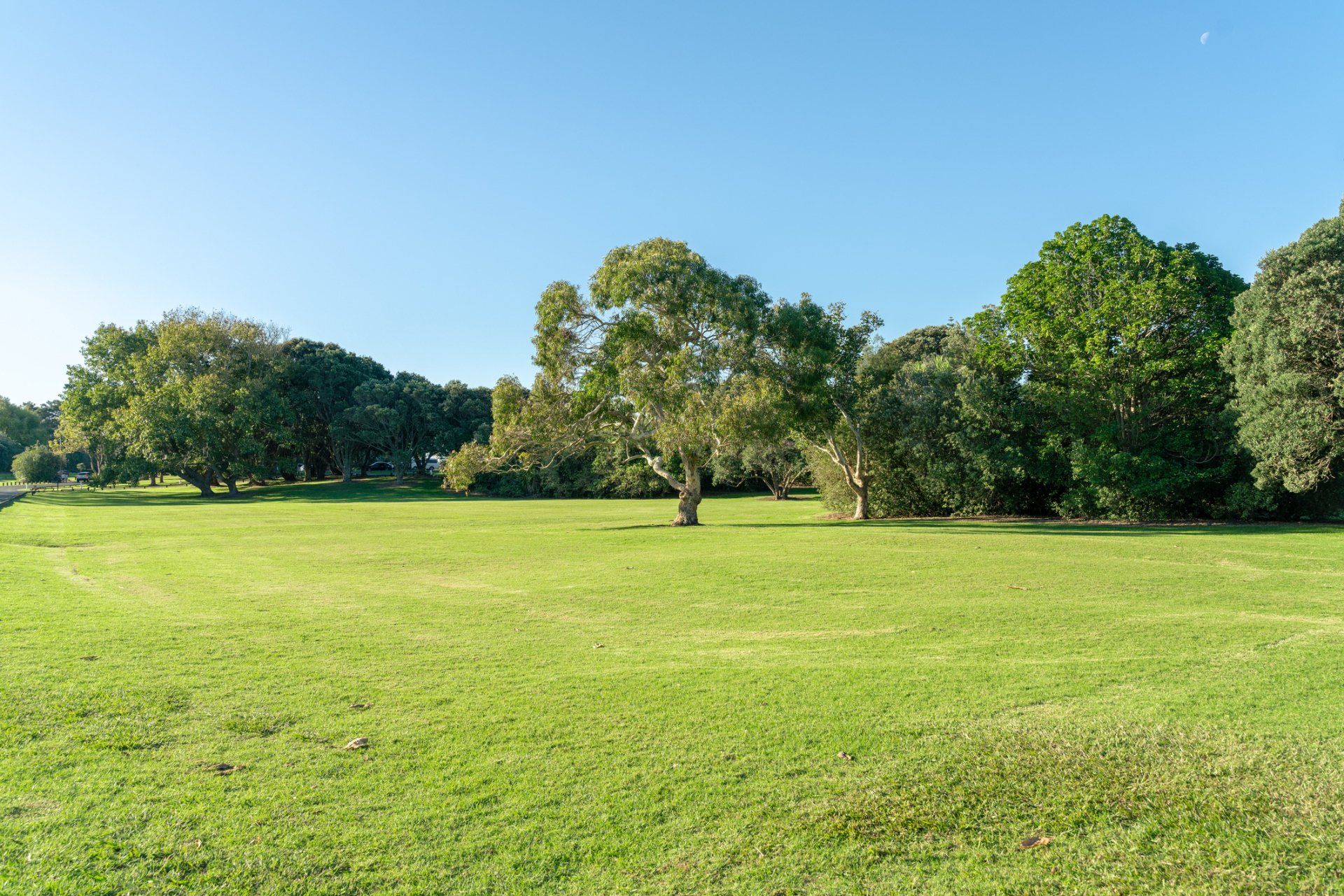 Grassland Sky And Grass Background - Chesapeake, VA - Western Branch Lawn & Landscapes