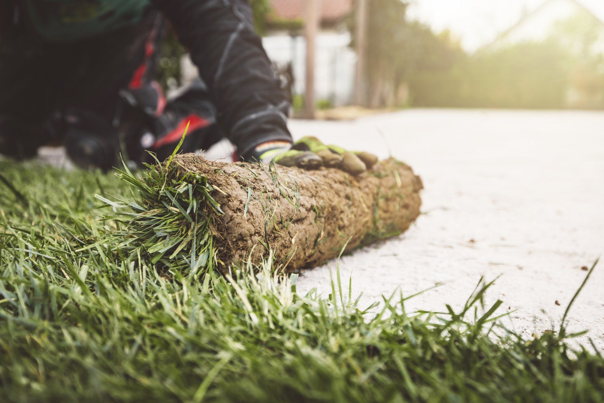 Man Laying Down Sod Rolls - Chesapeake, VA - Western Branch Lawn & Landscapes