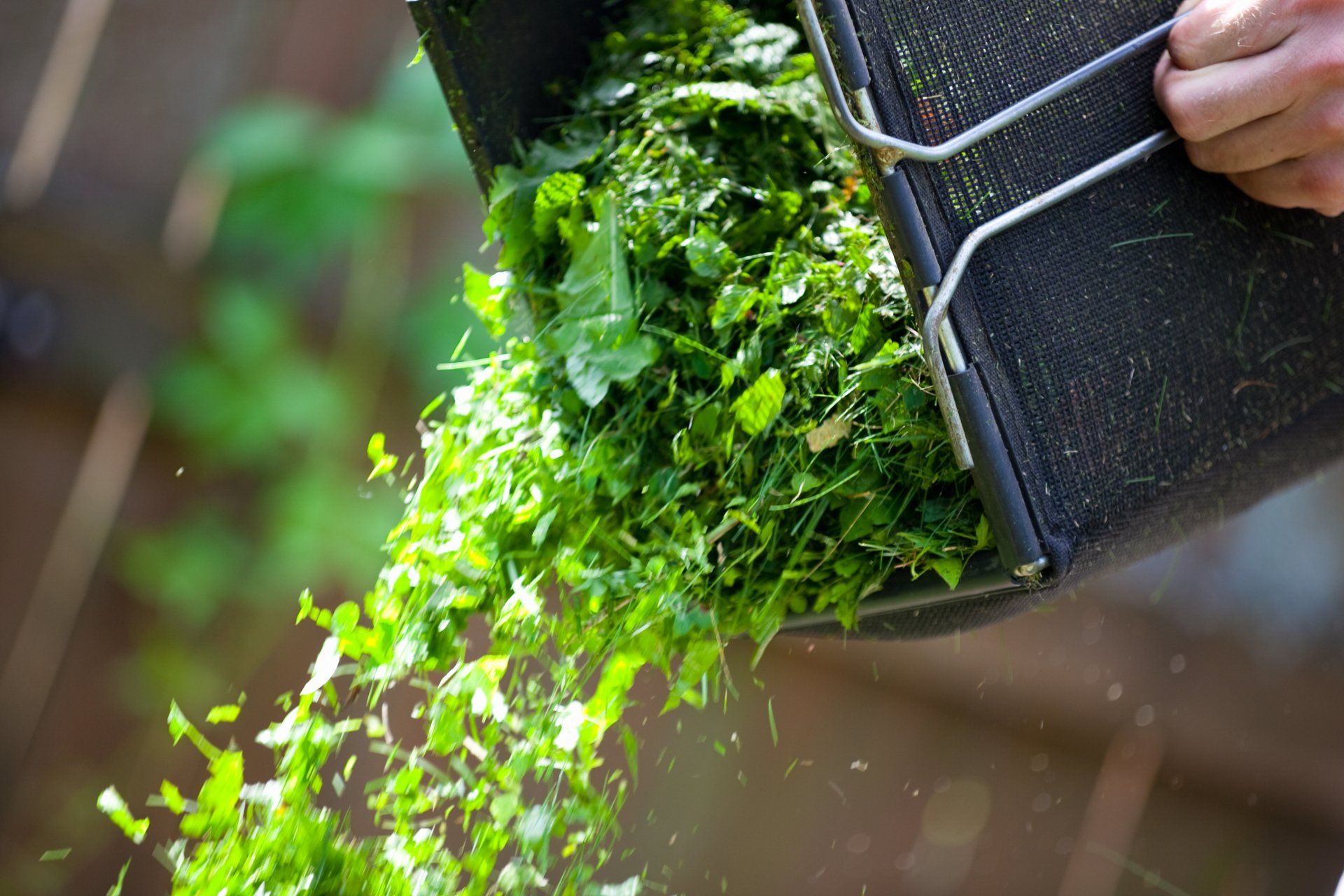 Cleaning Grass Box - Chesapeake, VA - Western Branch Lawn & Landscapes