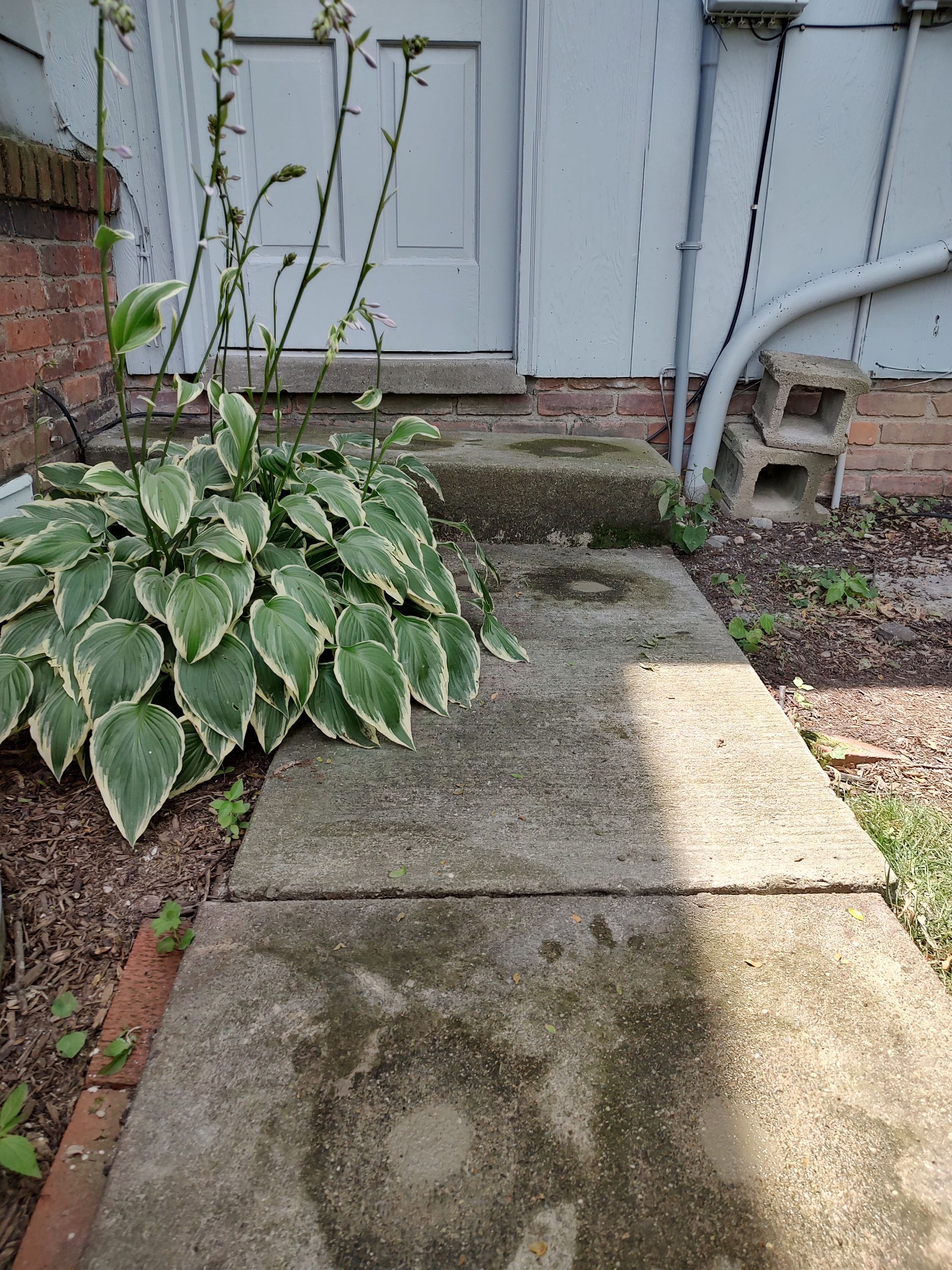 Irwin Concrete Leveling - After Concrete Leveling we created a proper step height and removed the trip hazard