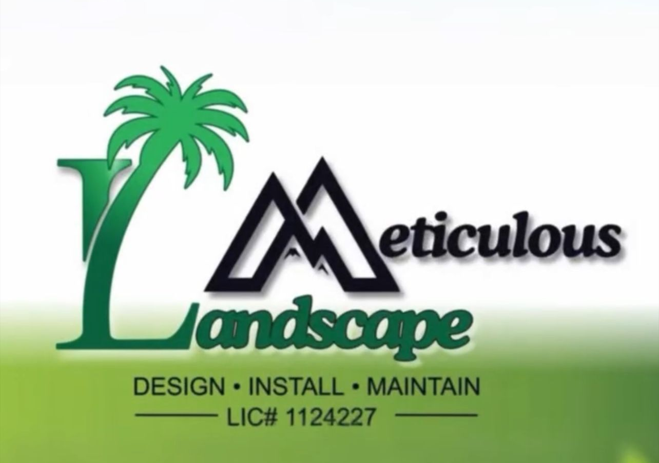 Meticulous Landscape