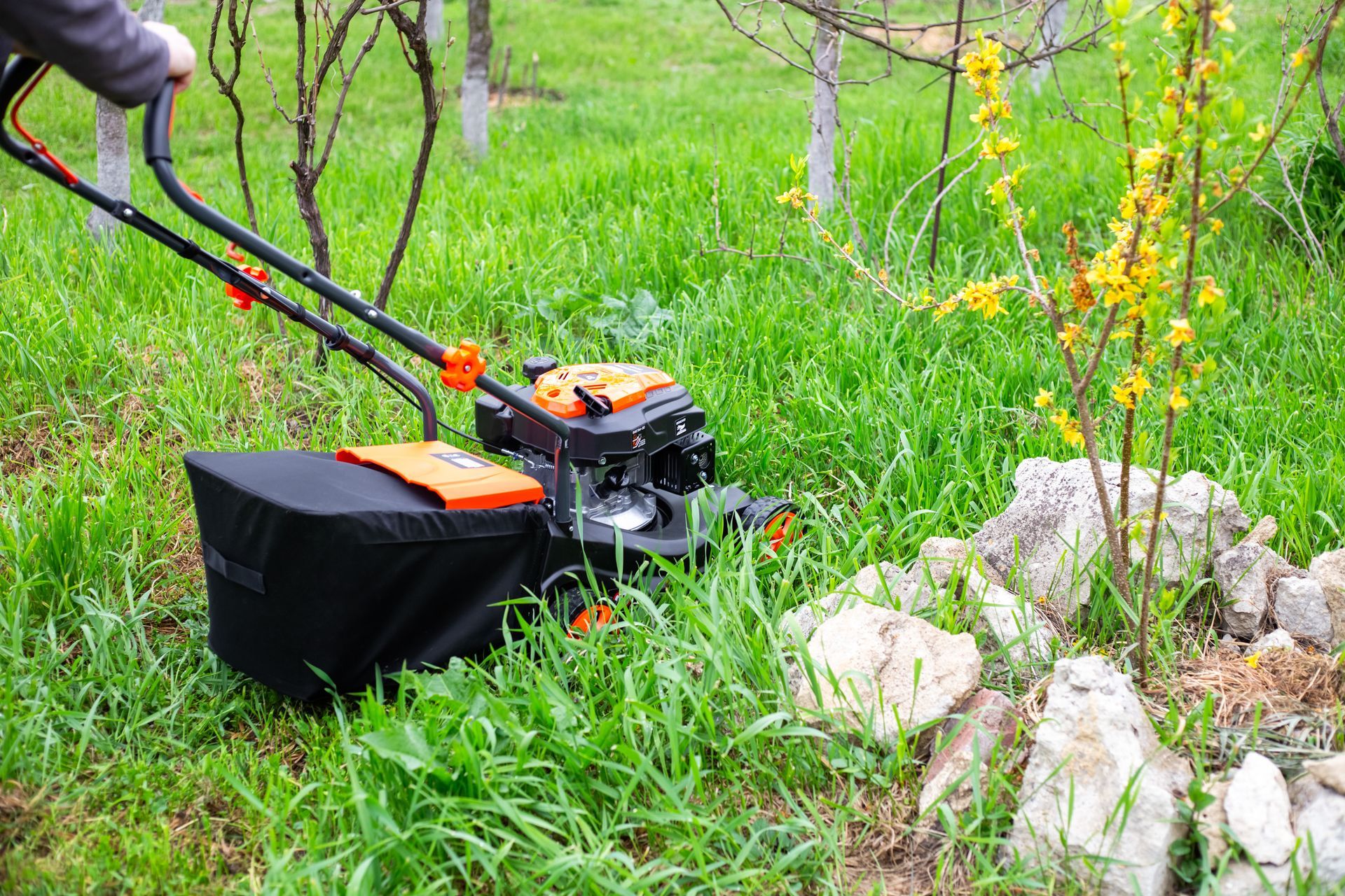 A person pushes an orange and black lawnmower through tall green grass in an outdoor garden setting.