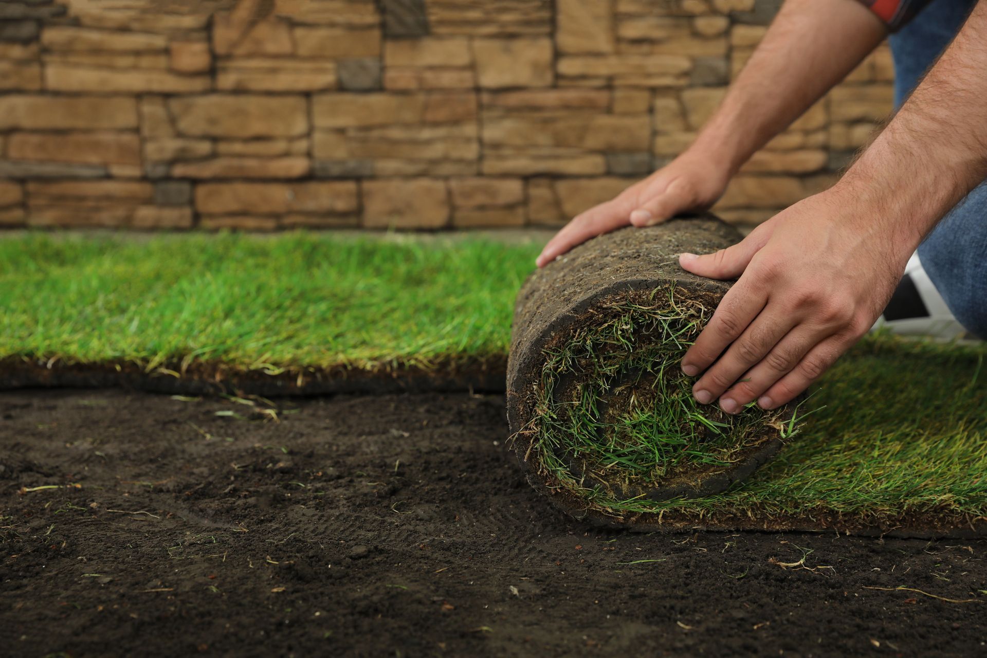 Person rolling out sod on soil, near a brick wall.