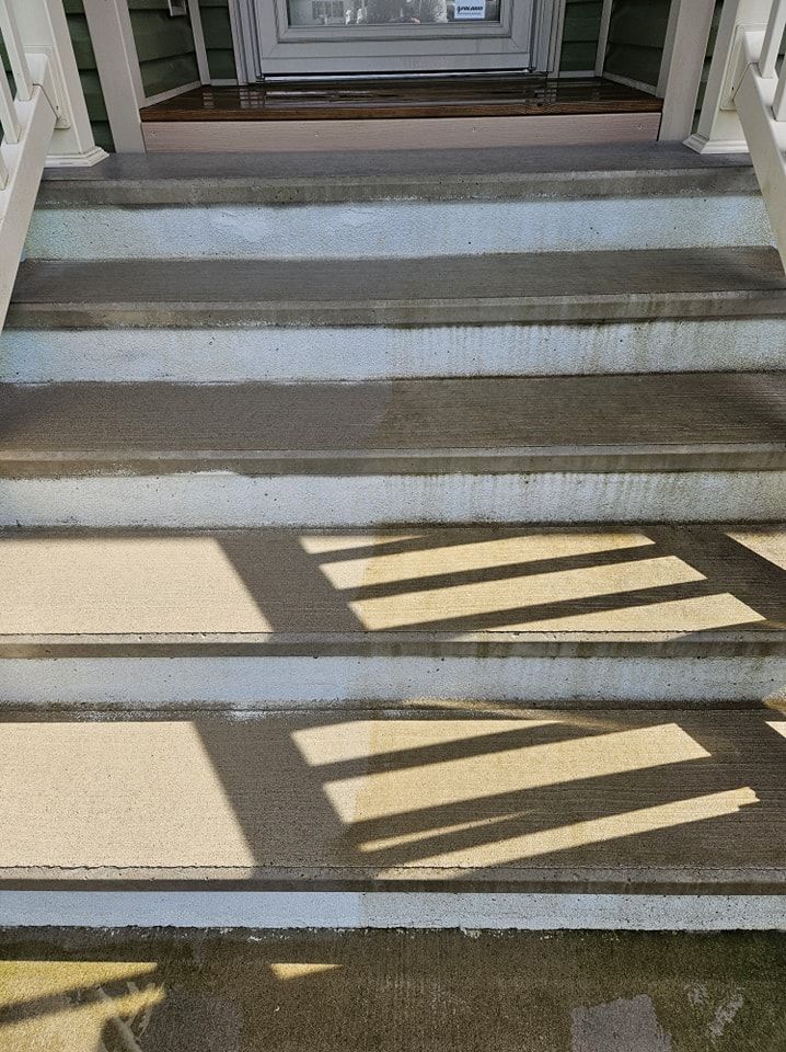 Concrete steps leading to a front door, showing a vertical line where one side has been cleaned.