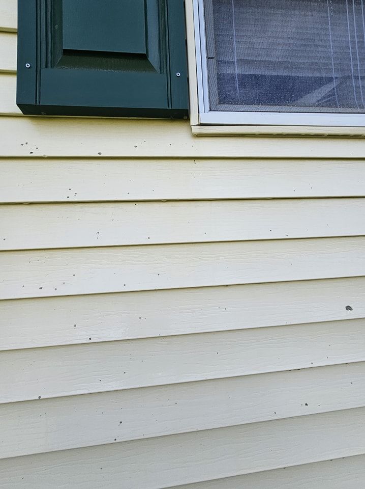 A green shutter next to a window on a yellow, horizontal-sided house wall with small dark spots.