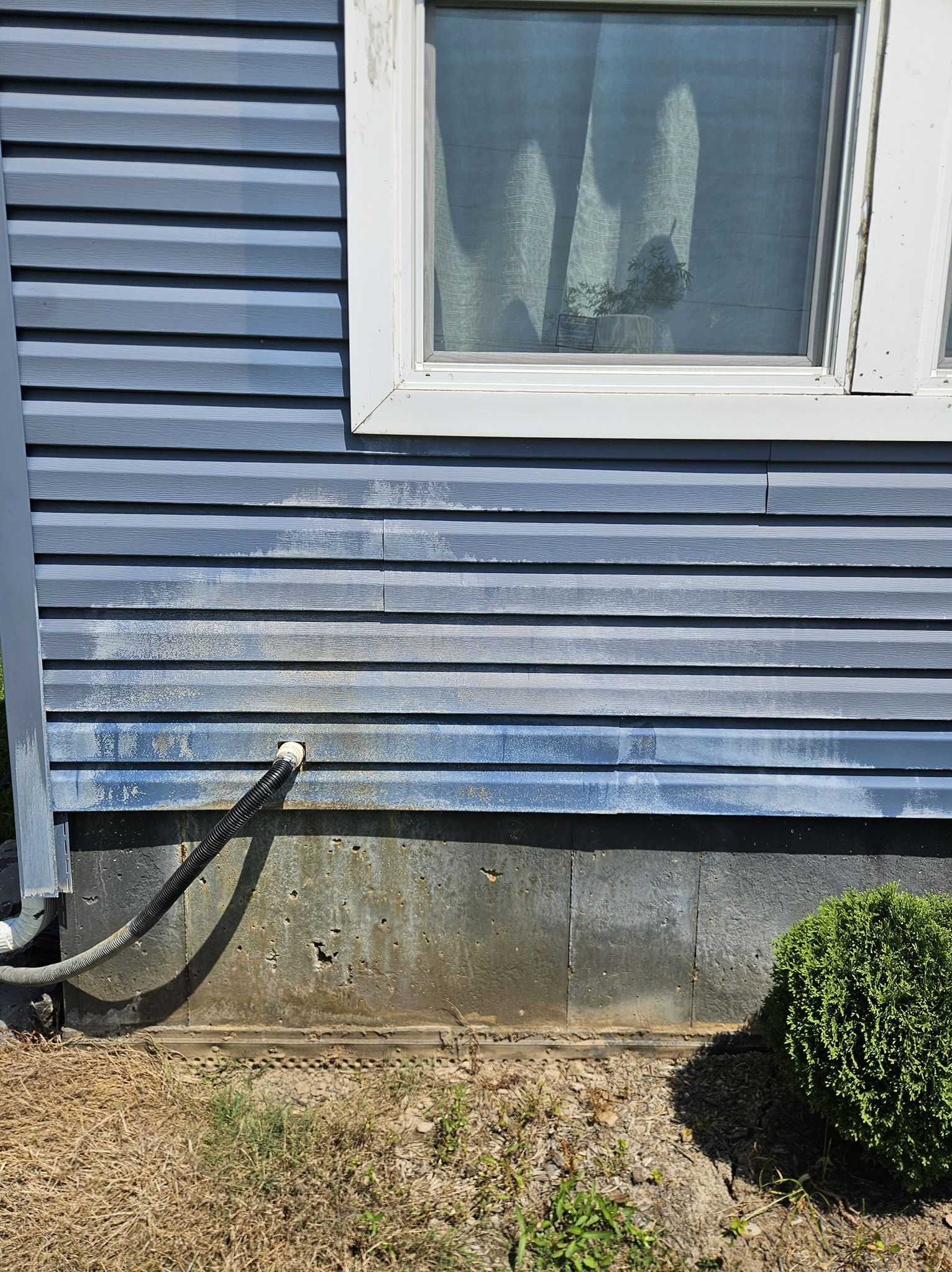 A blue-sided exterior house wall with a window above a concrete foundation, featuring a hose connection and a small bush.