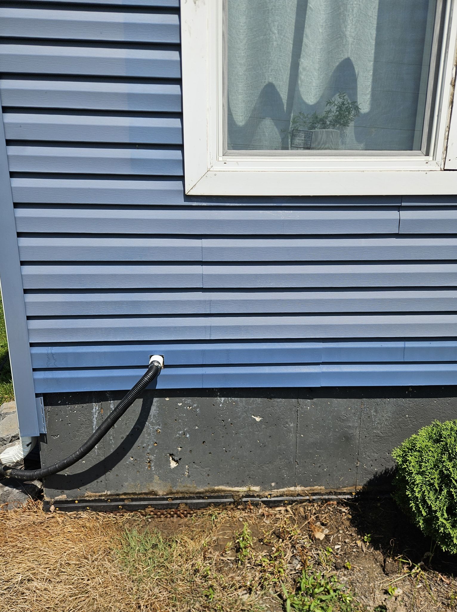 A close-up of blue vinyl house siding, a window, a dark concrete foundation, and a black hose connected to the wall.