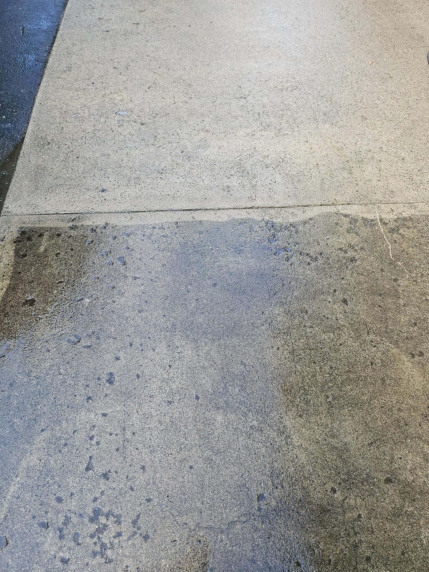A concrete walkway shows a sharp contrast between a clean, light-colored section and a darker, weathered portion.