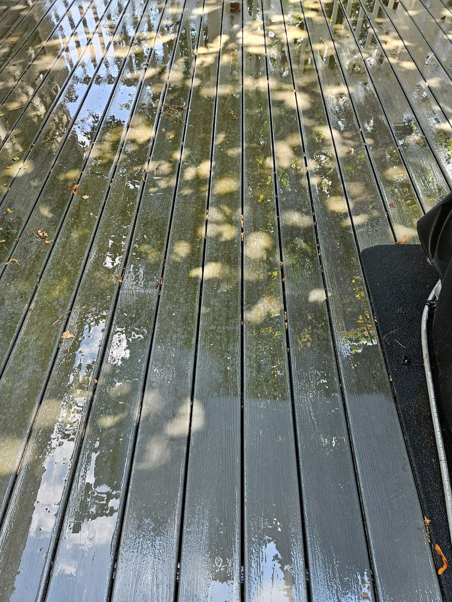 Sunlight dappled through leaves creates reflections on the surface of a wet, slatted grey wooden deck.
