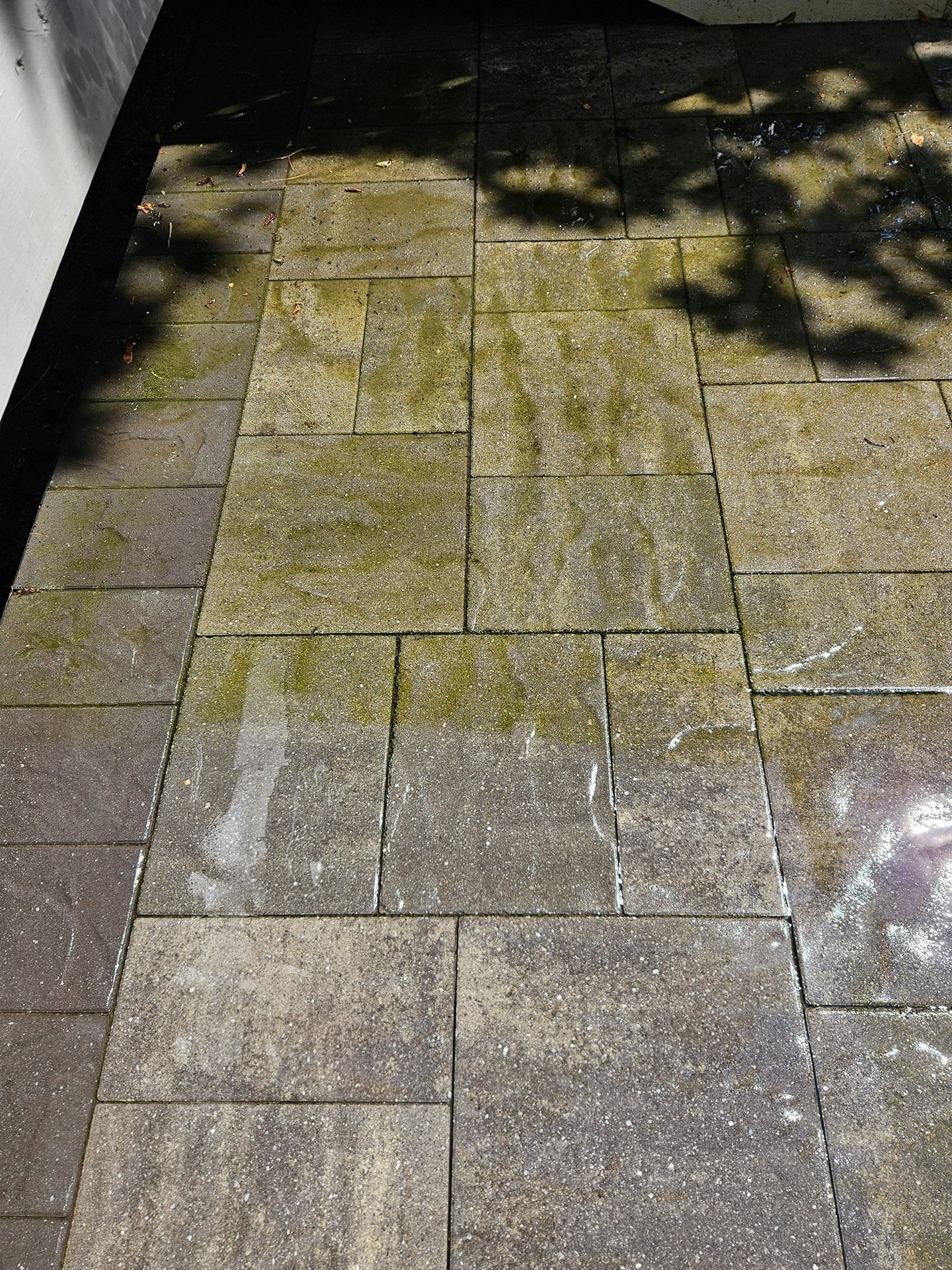 A rectangular stone patio showing a clear transition from dirty, moss-covered tiles to clean, dark grey tiles.