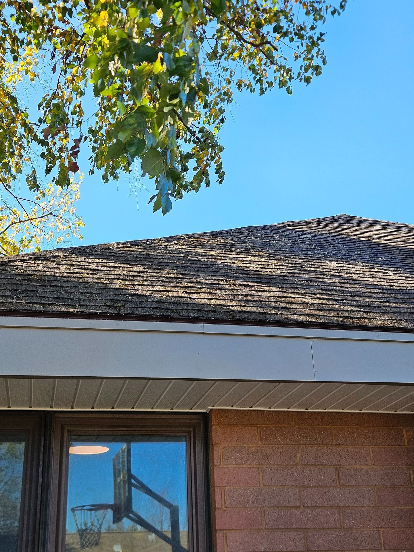 A brick home exterior with a dark shingled roof, white trim, and a window reflecting a basketball hoop under a clear sky.