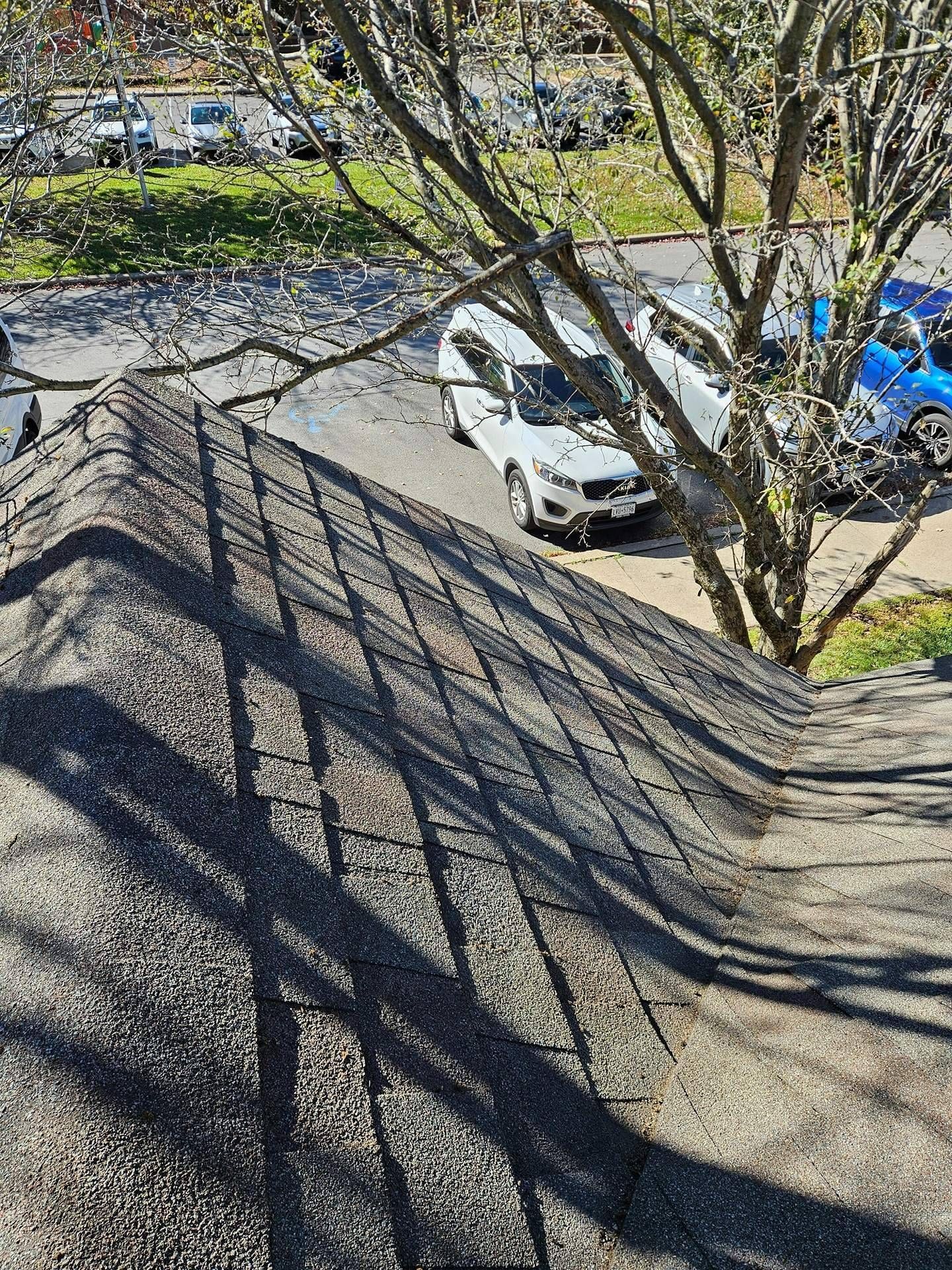 A top-down view of a textured grey roof casting long, dark tree shadows over a parking lot with white and blue vehicles.