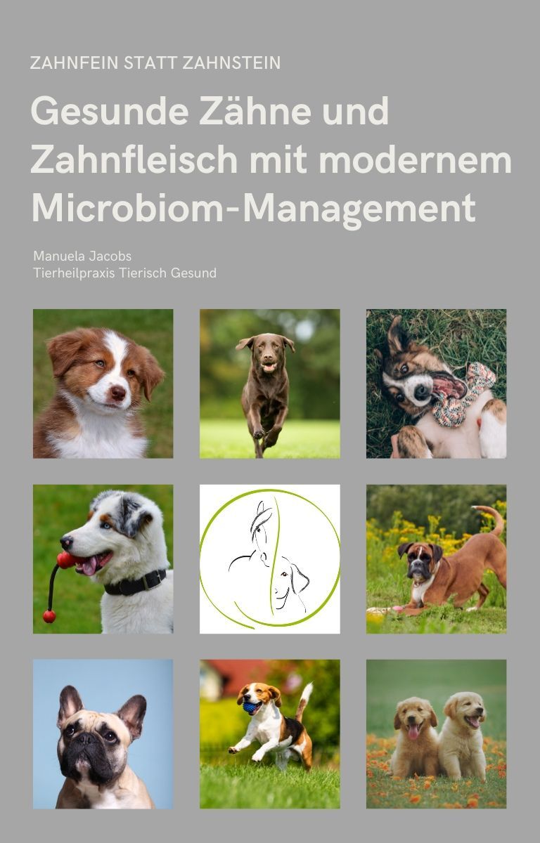 eBook Zahnfein statt Zahnstein