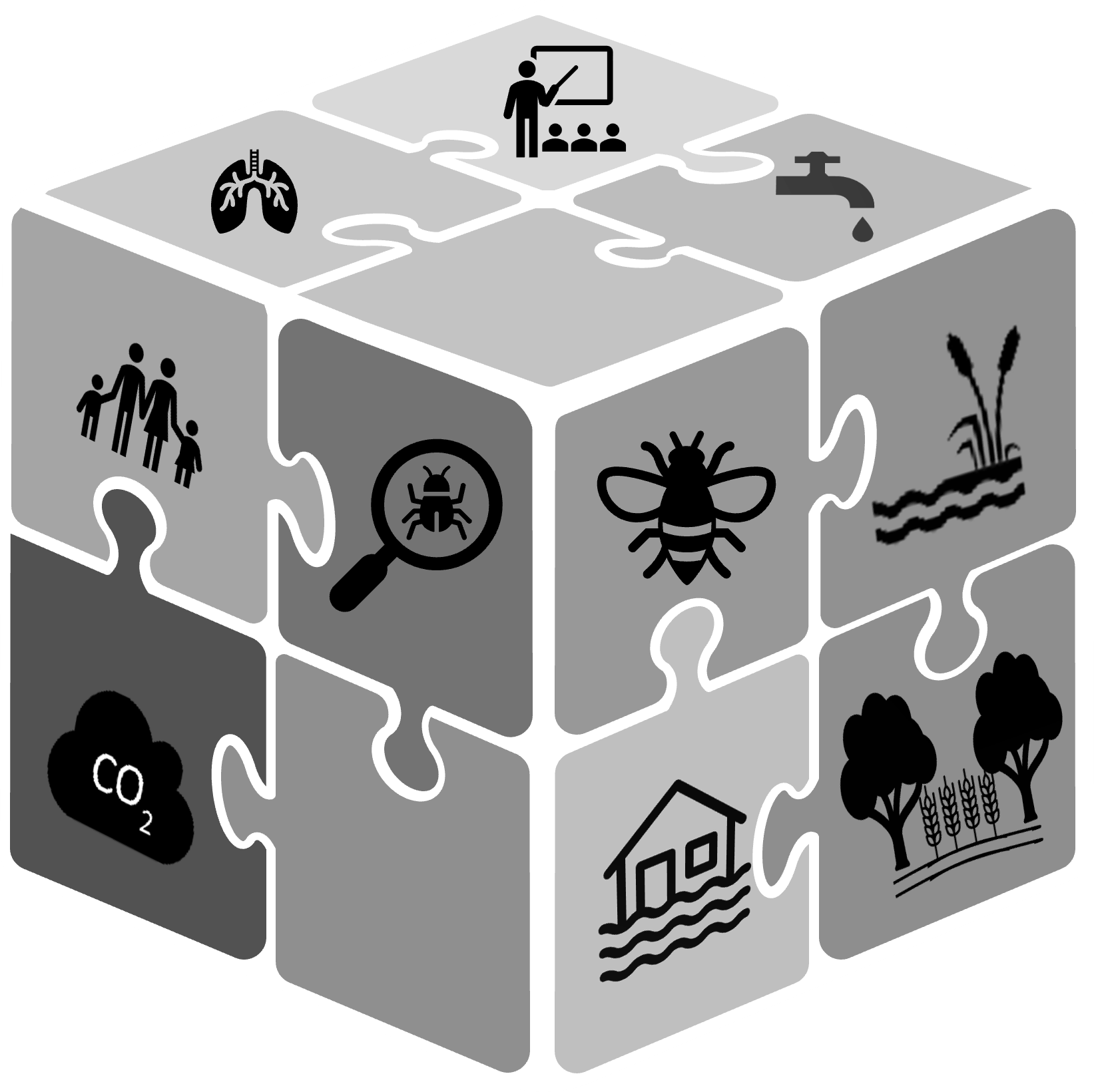 Parts of the natural environment fitting together in a multi-dimensional system to deliver greater benefits