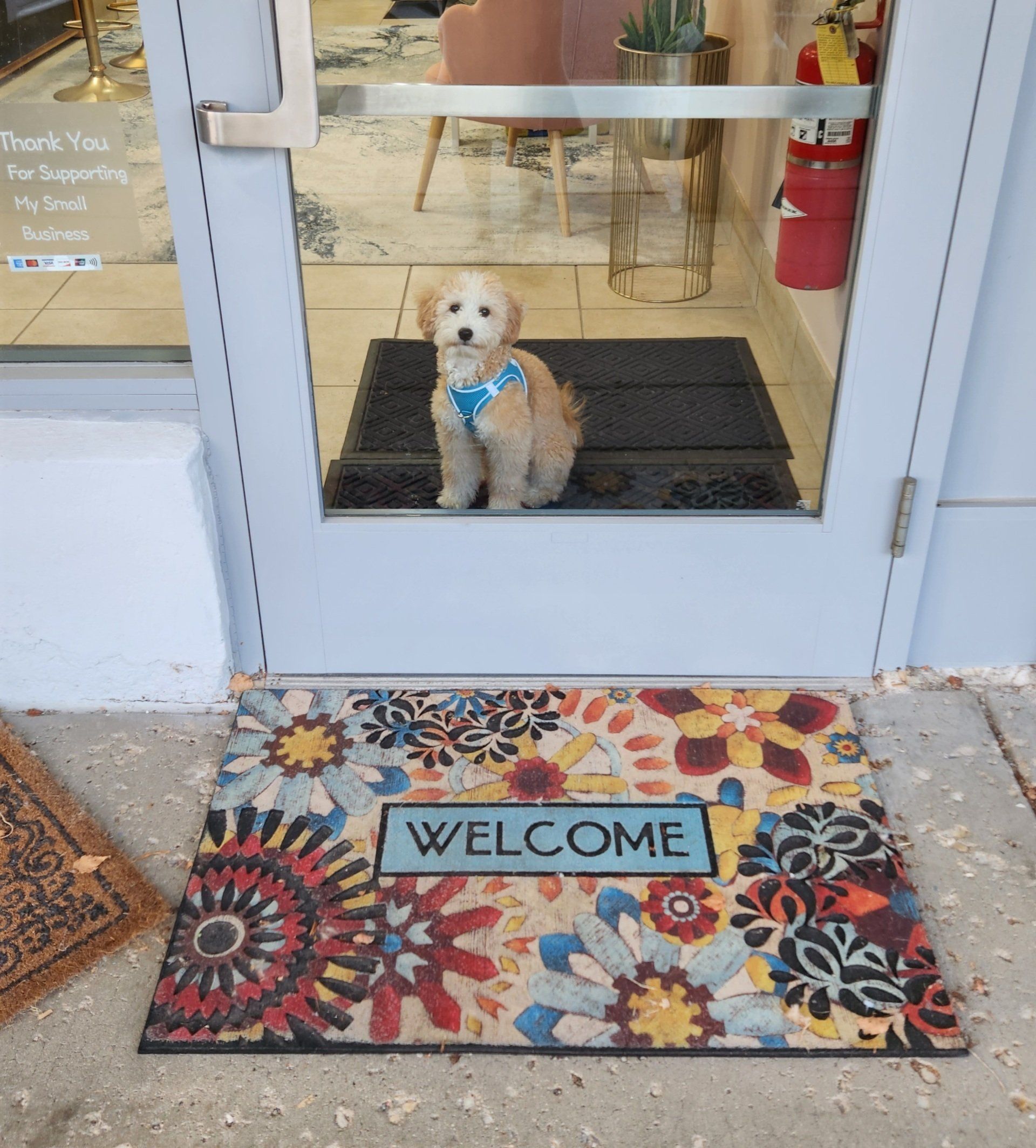 A dog is sitting on a welcome mat in front of a door