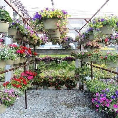 HOME & GARDEN