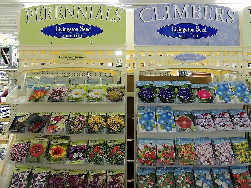 plants seeds