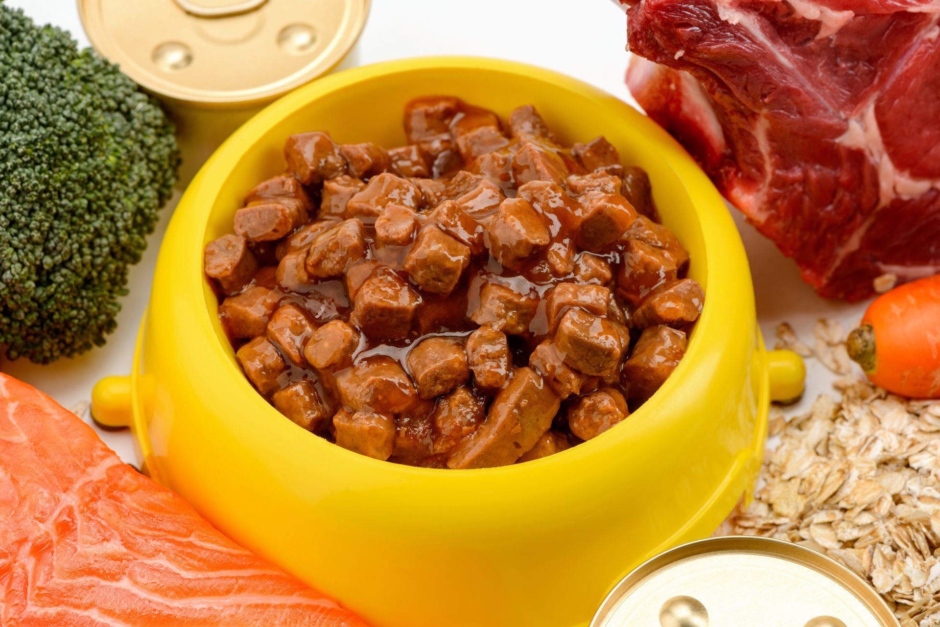 A diverse assortment of pet food items featuring meat, vegetables, eggs, & fish arranged on a table.