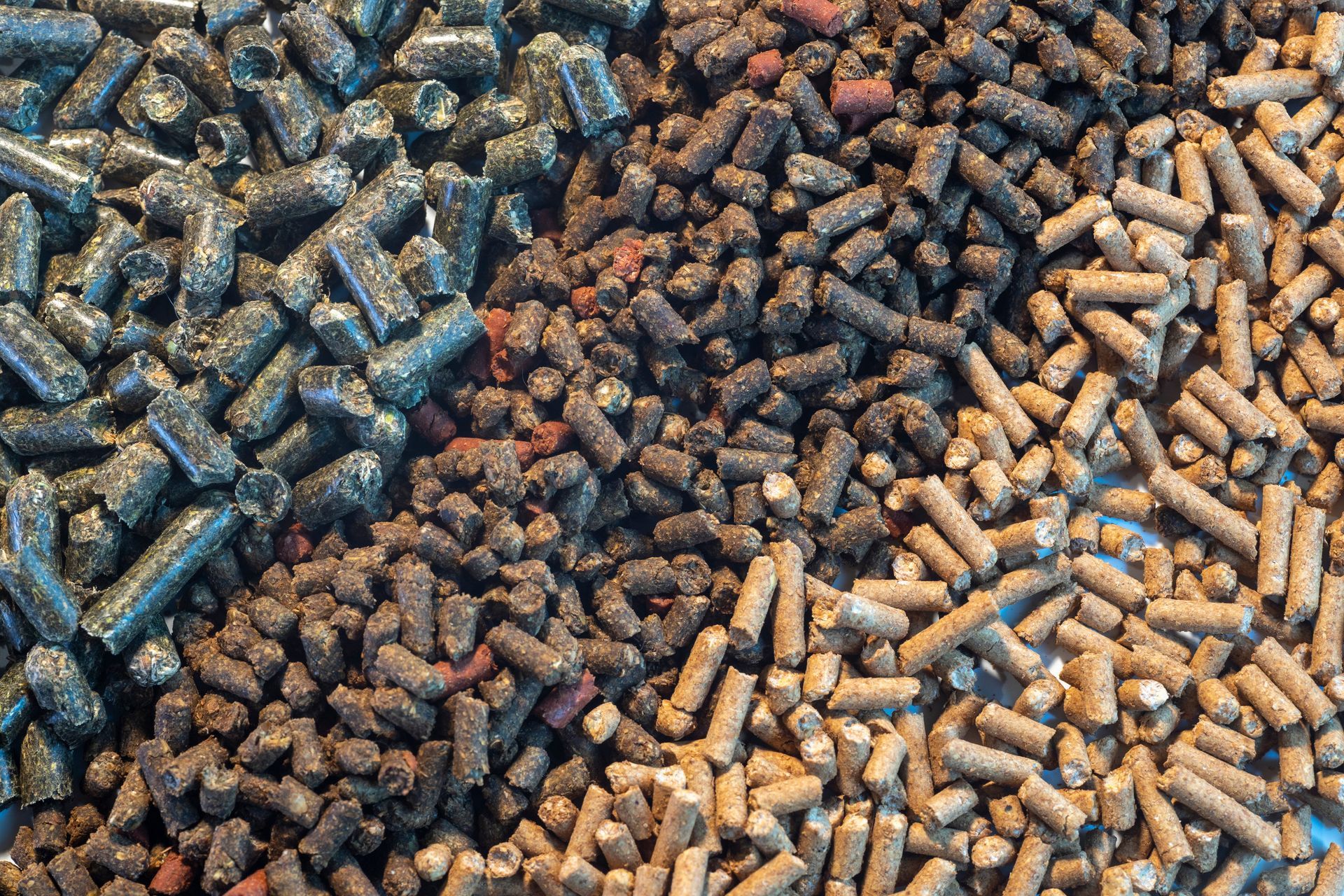 A diverse assortment of food pellets in various shapes and sizes, stacked together. A diverse assortment of food pellets in various shapes and sizes, stacked together.
