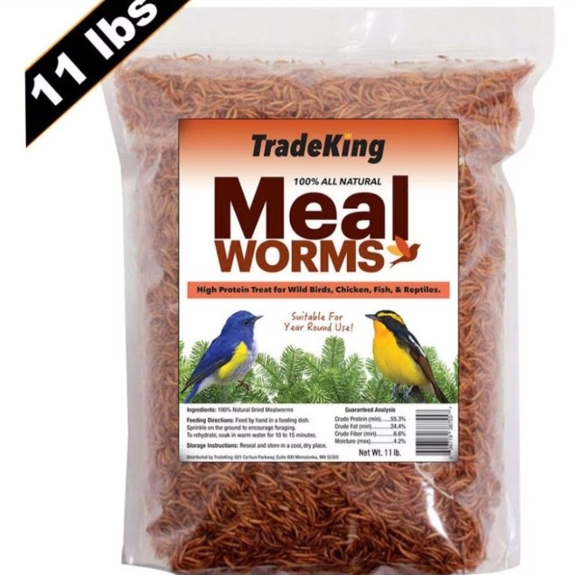 Meal Worms - Bethel, OH - Bethel Feed Supply Pet & Garden Center