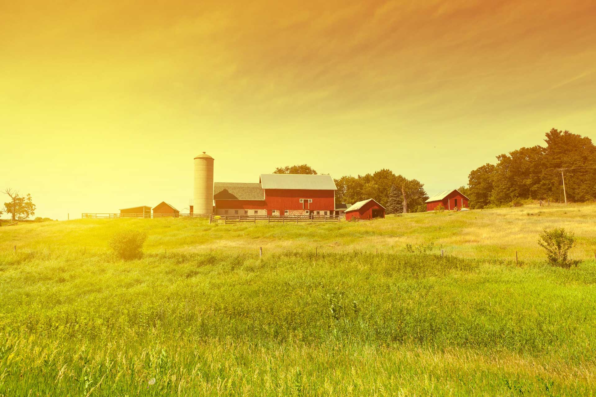 FARM