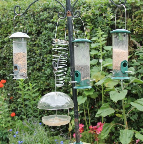 Four bird feeders hanging from a metal stand in a garden with green foliage and colorful flowers.