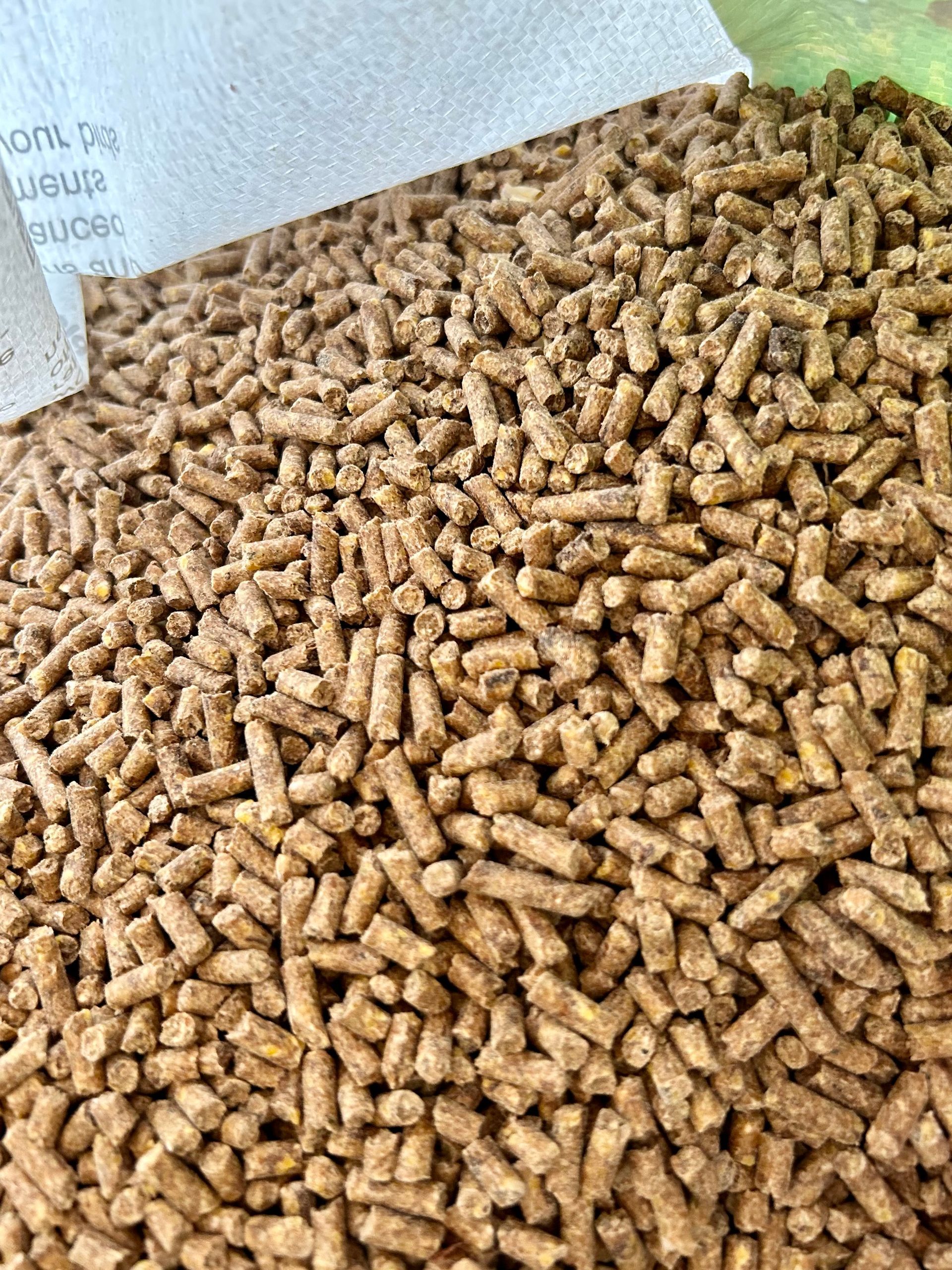 Layer Pellets - Bethel, OH - Bethel Feed Supply Pet & Garden Center