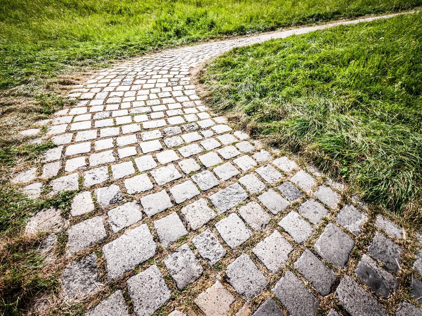 Stone pathway curves through green grass.