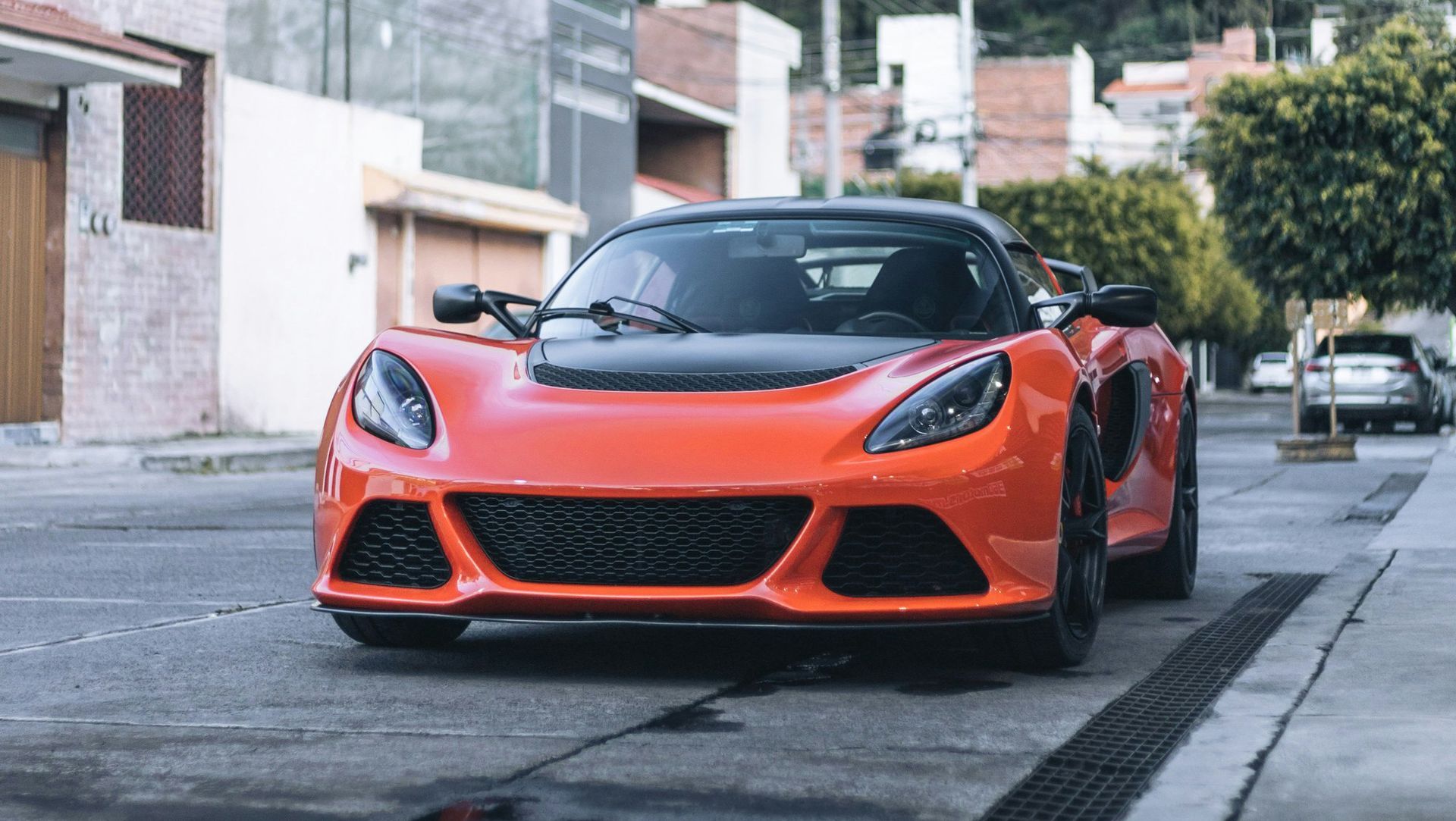 Lotus