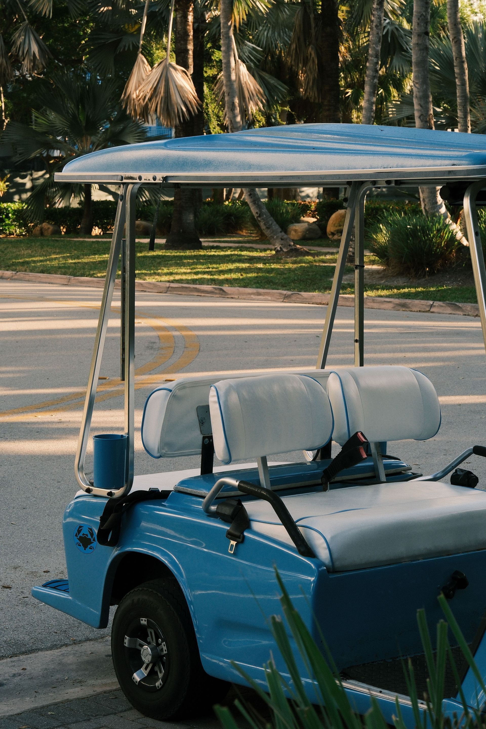 Blue golf cart with a white canopy parked by a tree-lined road.