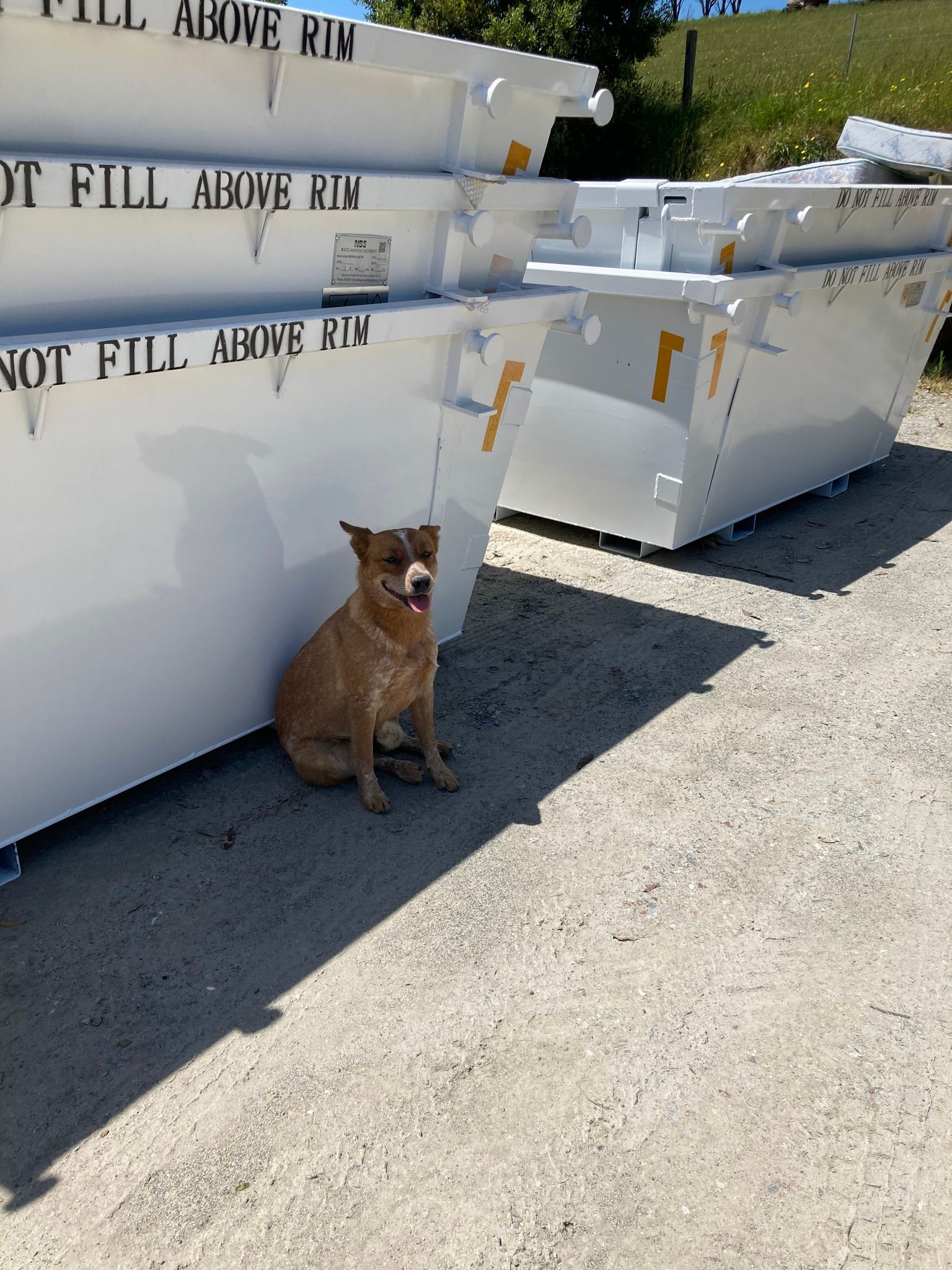 A Truck and a Skip Bin | Warragul, Vic | B-Neeta Skip Bins