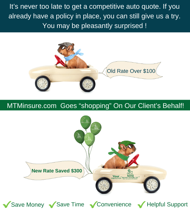 Go to Auto insurance Auto insurance savings image